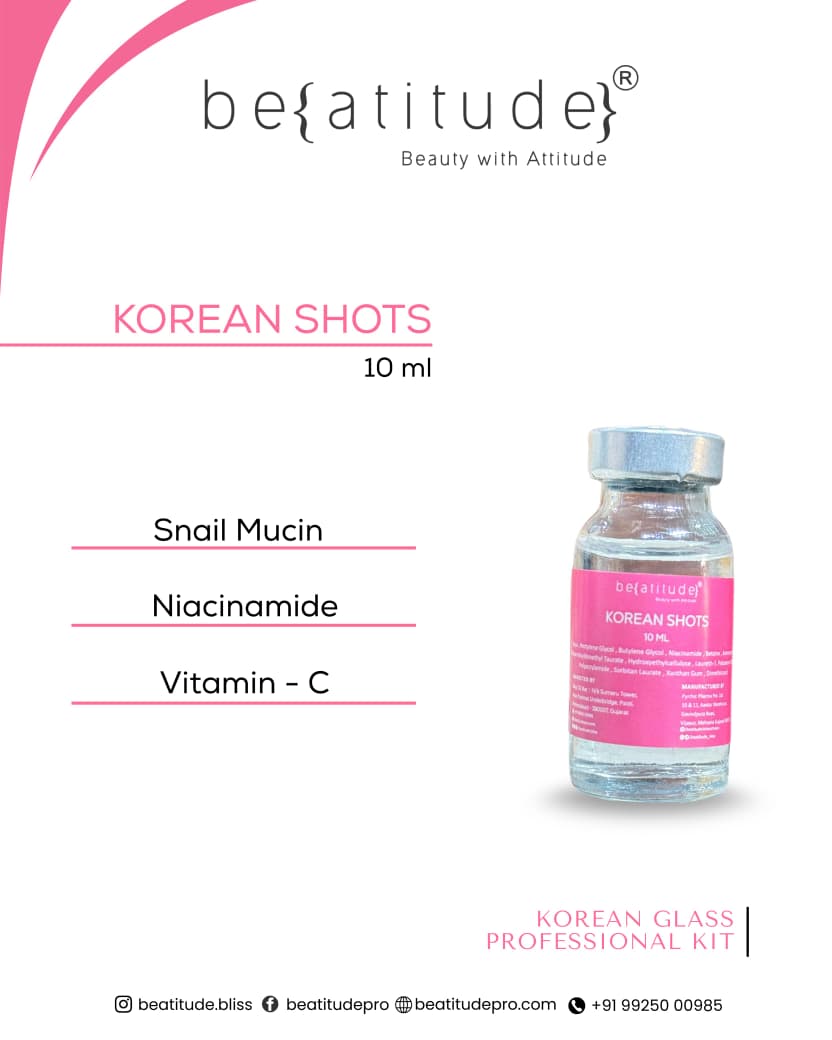 korean Glass Professional Kit